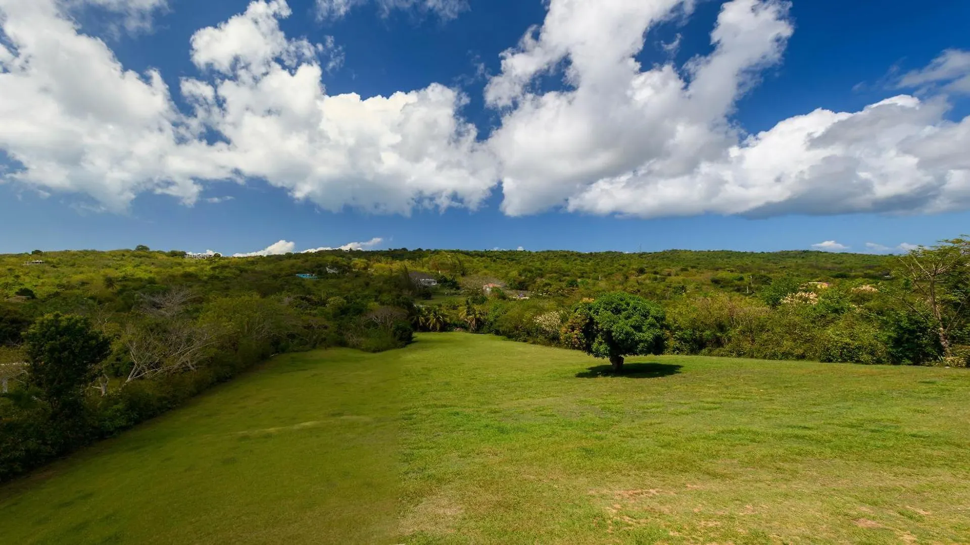 Club Vieques - Adults Only Resort - Lgbt Friendly 4*,  푸에르토리코